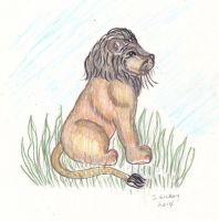 New lion